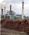 carbon trade watch