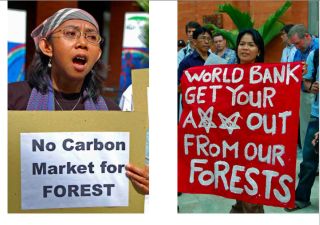 Pic-demo-No_WB-outofCarbonmarket.jpg Pic-demo-No_WB-outofCarbonmarket.jpg