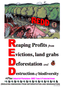 REDD_IENreport.gif REDD_IENreport.gif